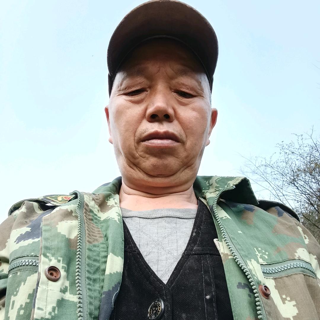 潘老板莲花