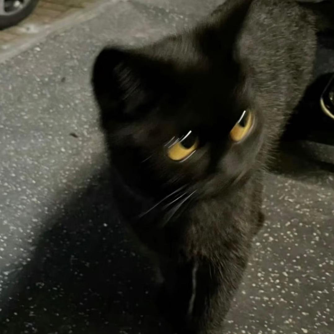 随便了