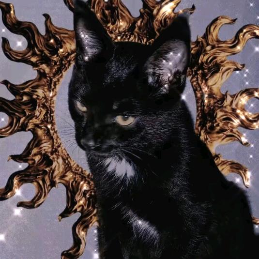 卖钢筋的小火柴