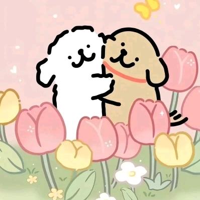 努力赚钱养小家