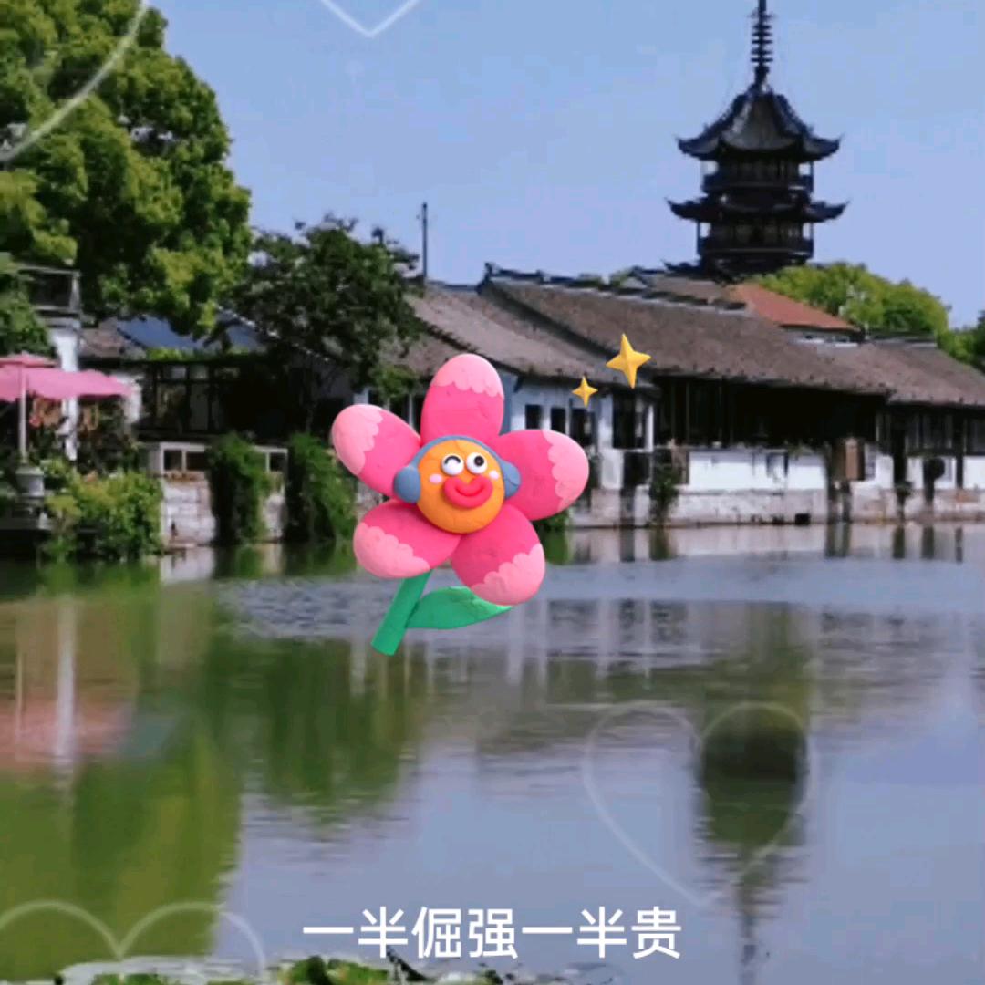 aa，天天好心情
