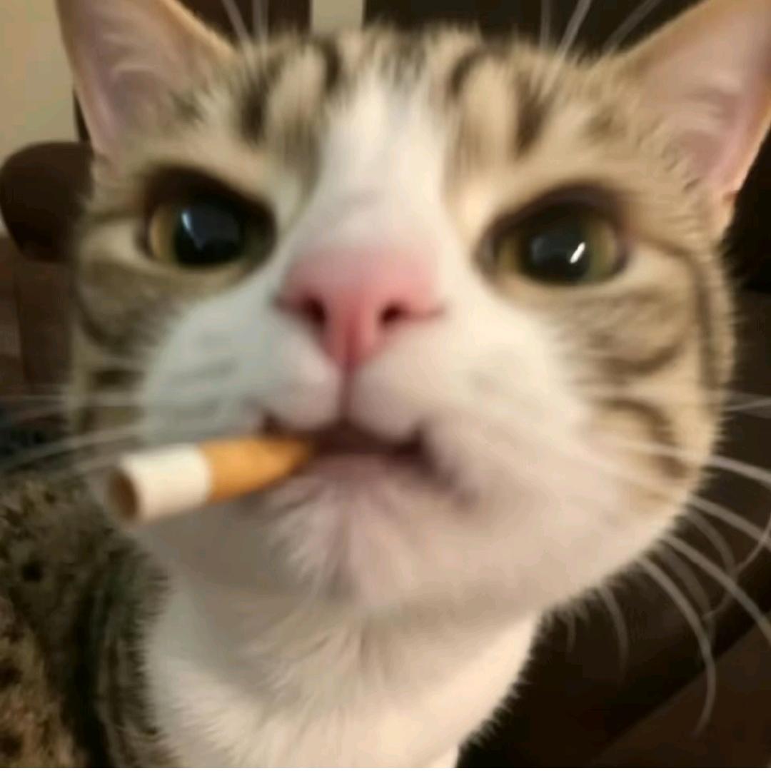 你行你叫有机物