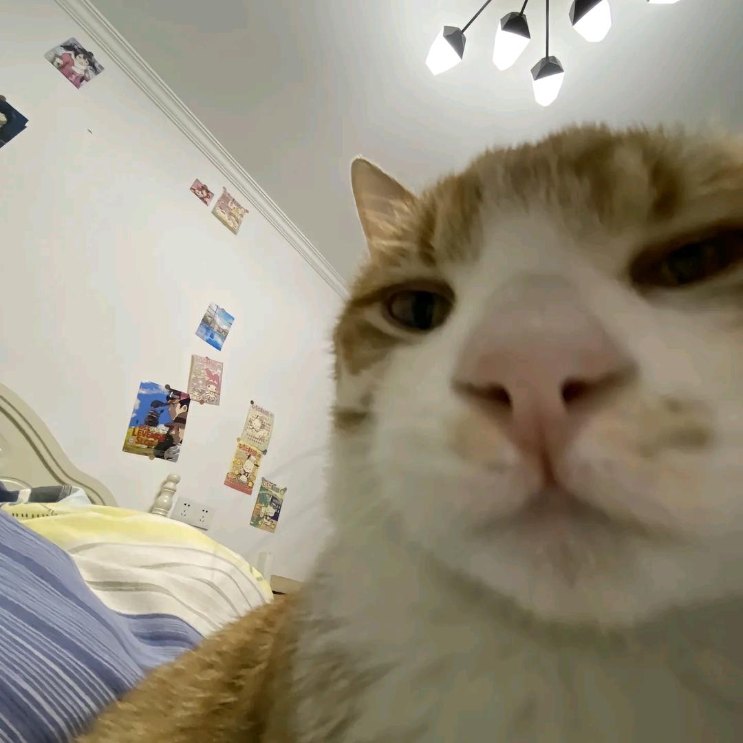 周周QwQ