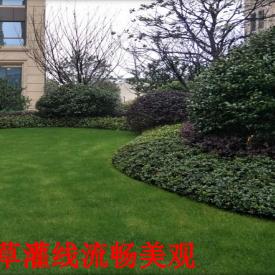 相信自己