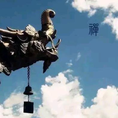 展翅高飞