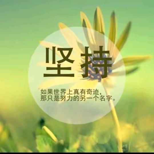 无惧风雨