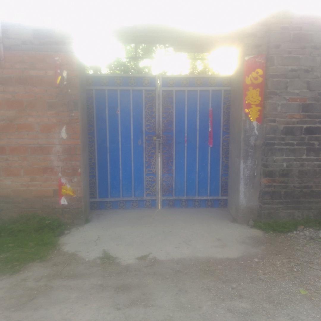 Random(抗击流感病毒中)