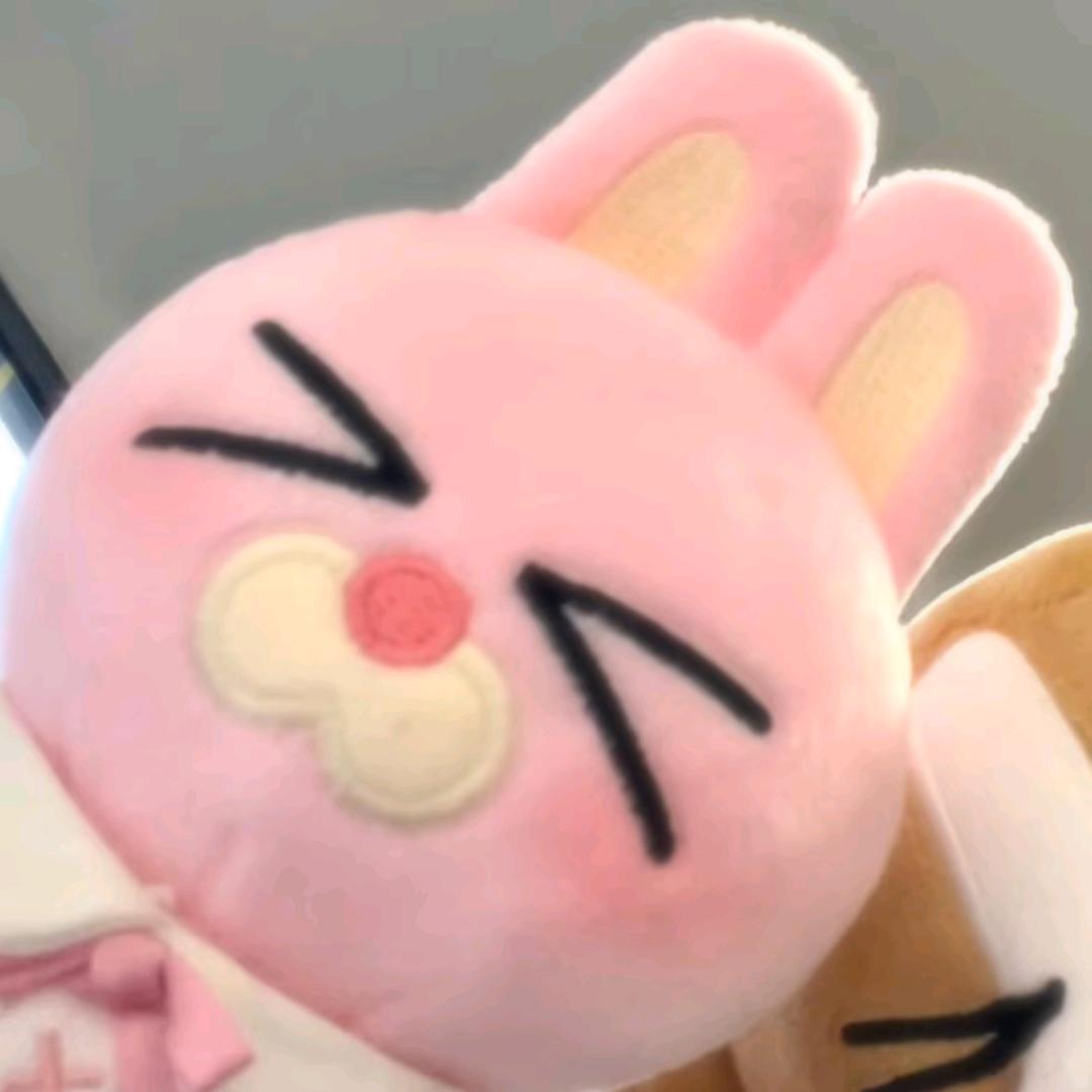 小猪仔