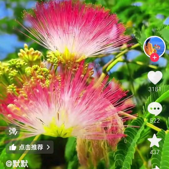 夏日暖风
