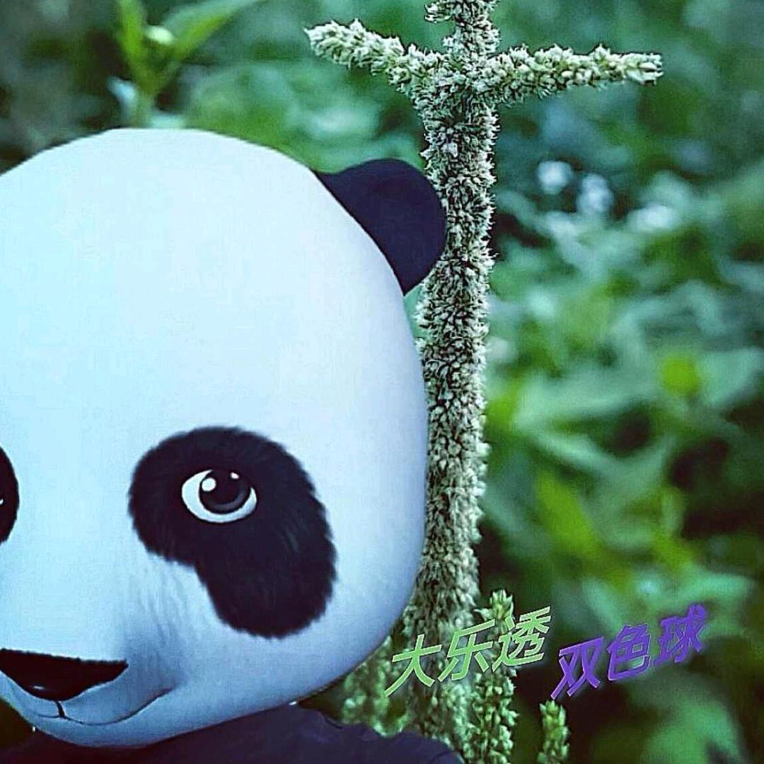 荣荣彩彩