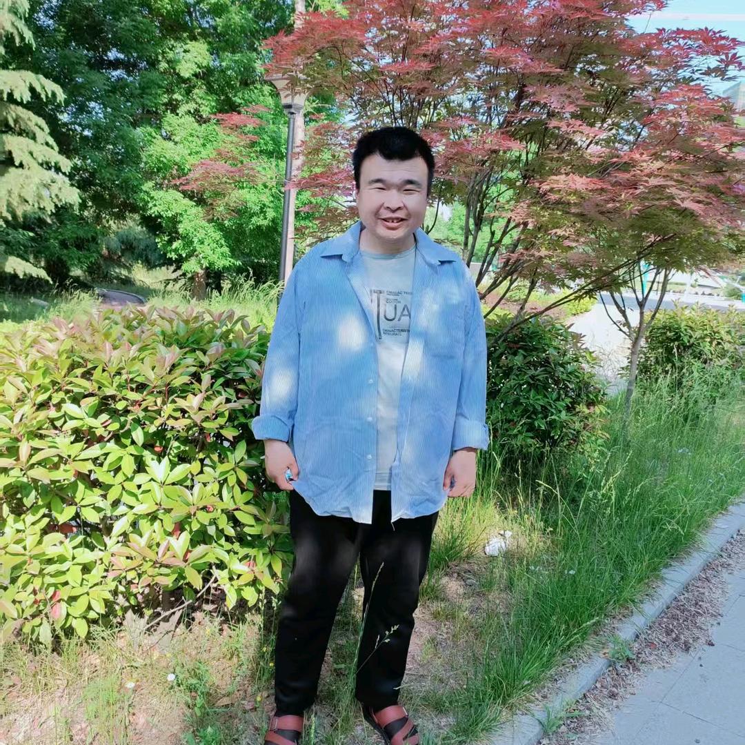 自由飞翔