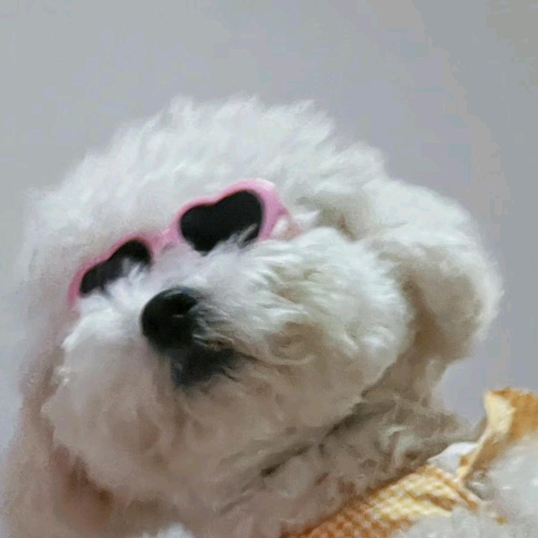 爱吃麻辣烫