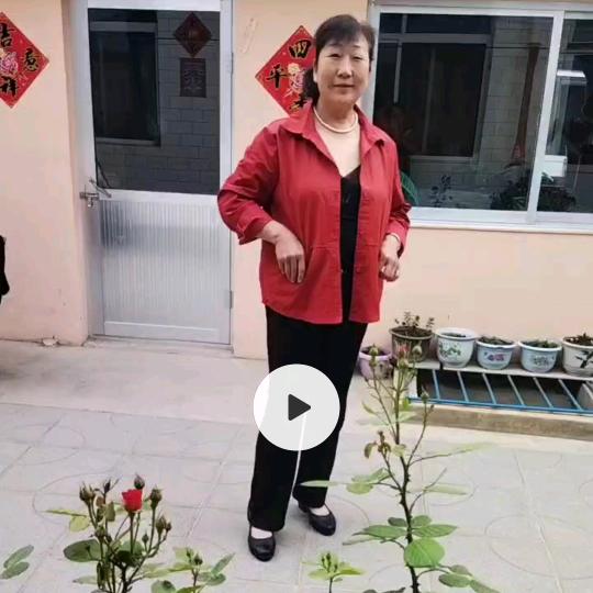 五朵金花