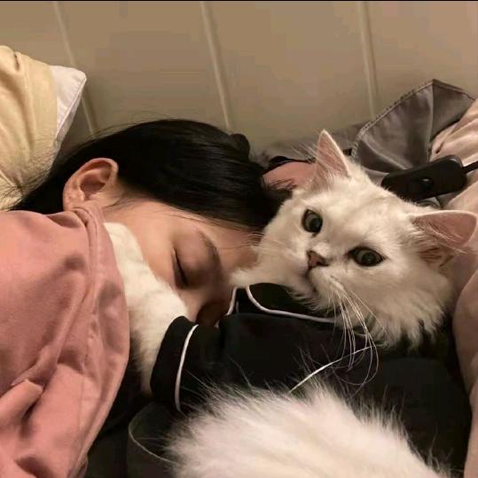 。。。，。。。