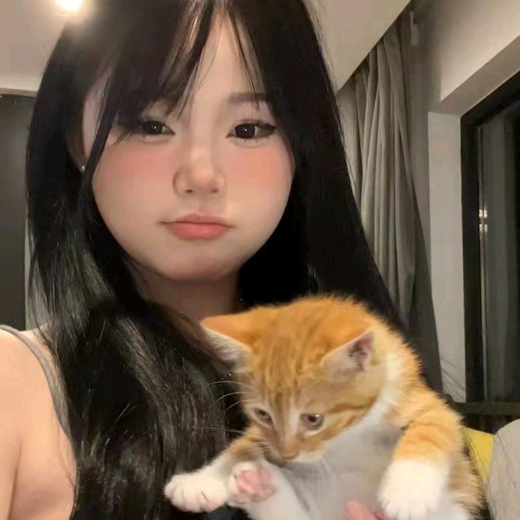 呆呆