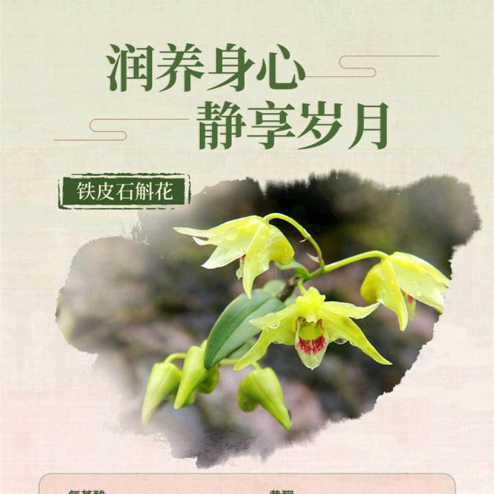 二宝妈,健康管理师