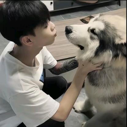 涂涂。