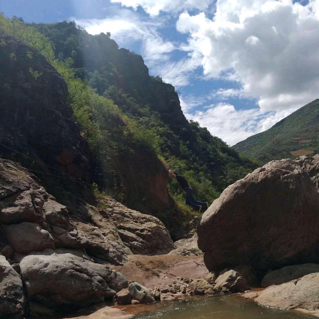 🌈生产队的牛🐂