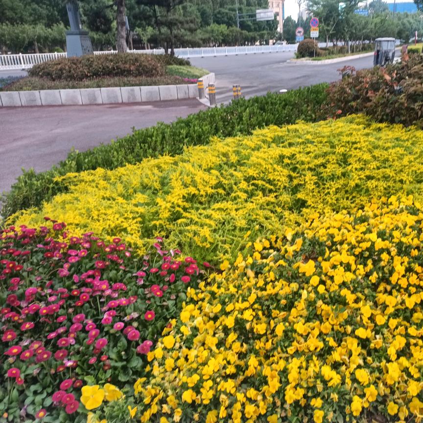 @随风而行$
