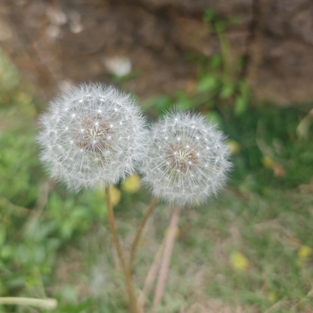 邮优选品