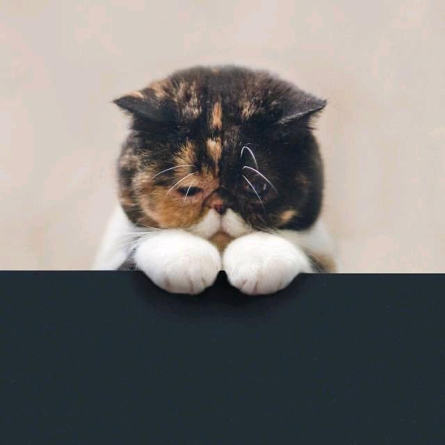 文森
