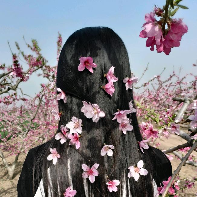 苏苏