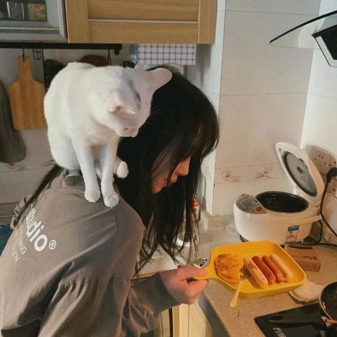 苦茶kk