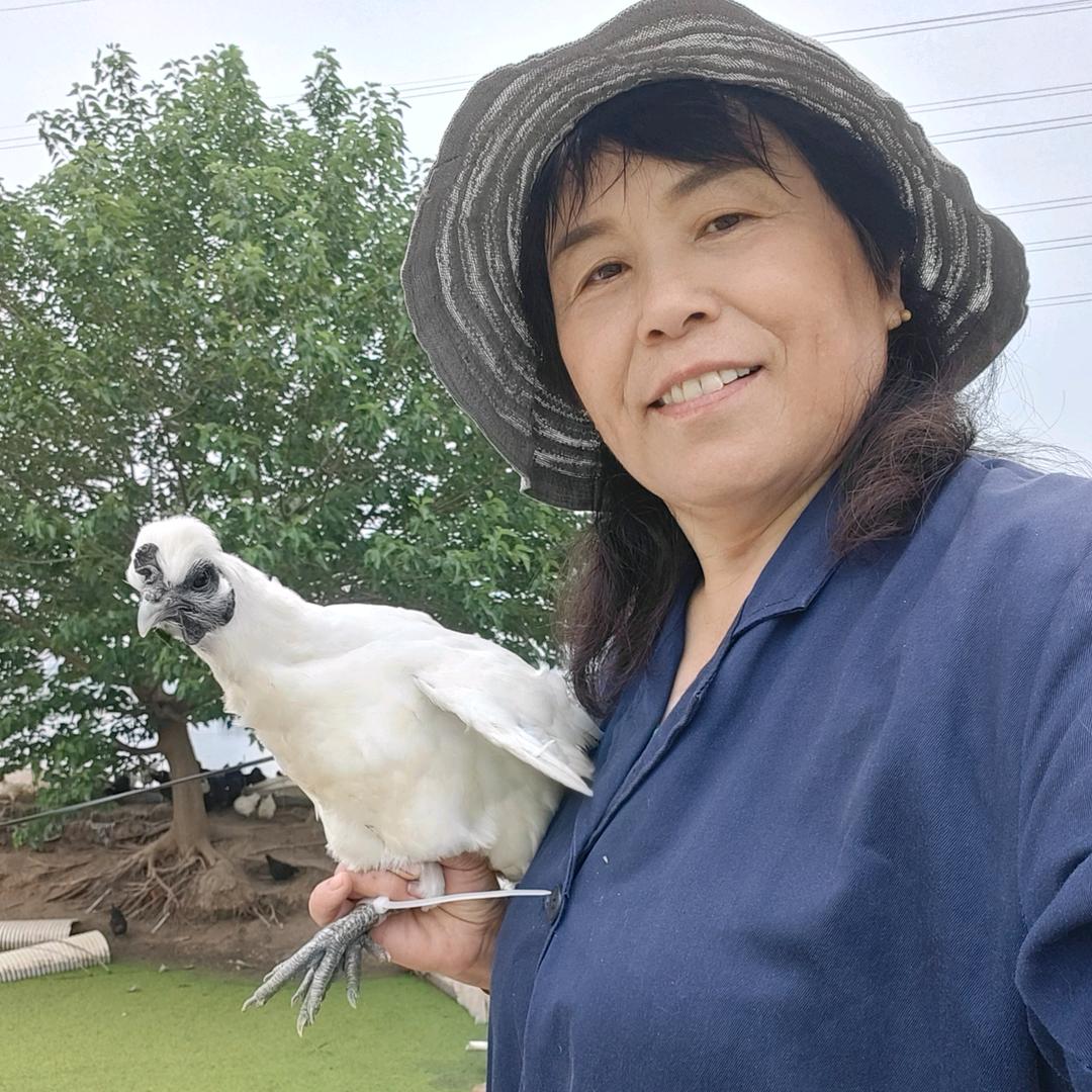 盐城60后养殖宝奶