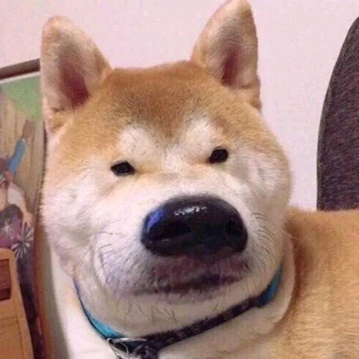 暴龙战士