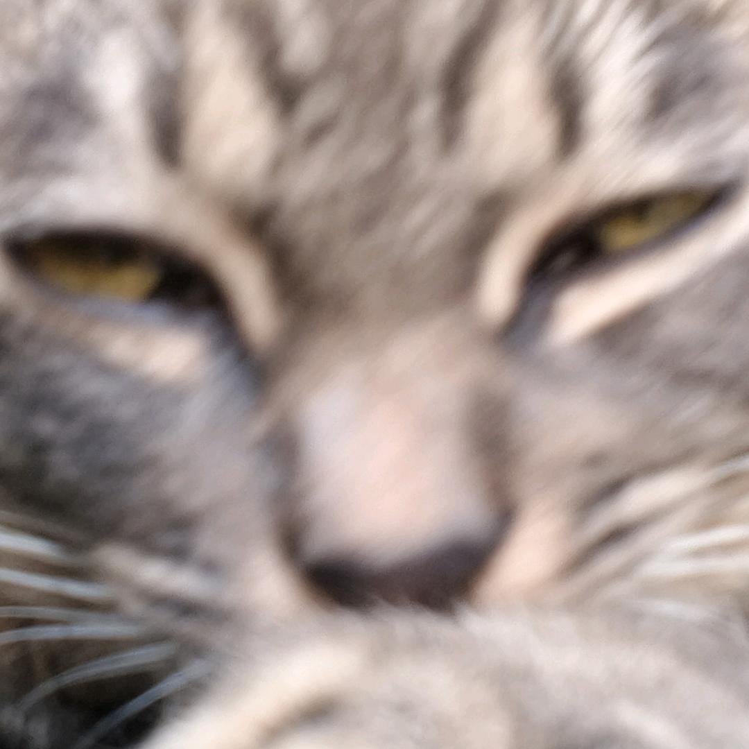 。。？