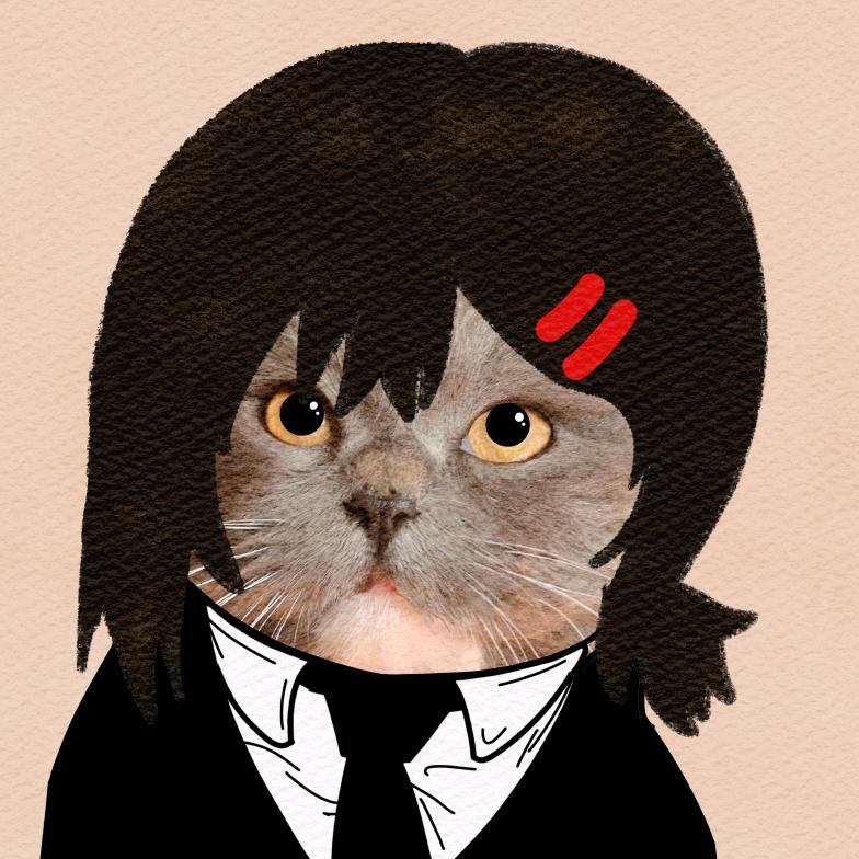 腼腆猫meme