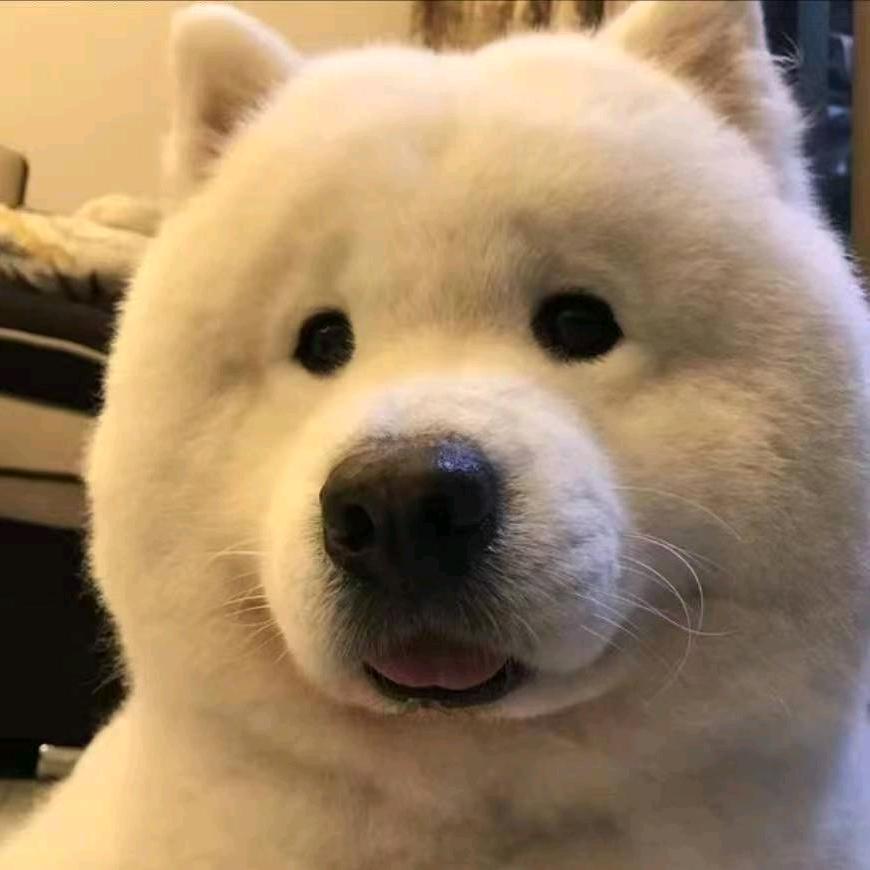 交响乐