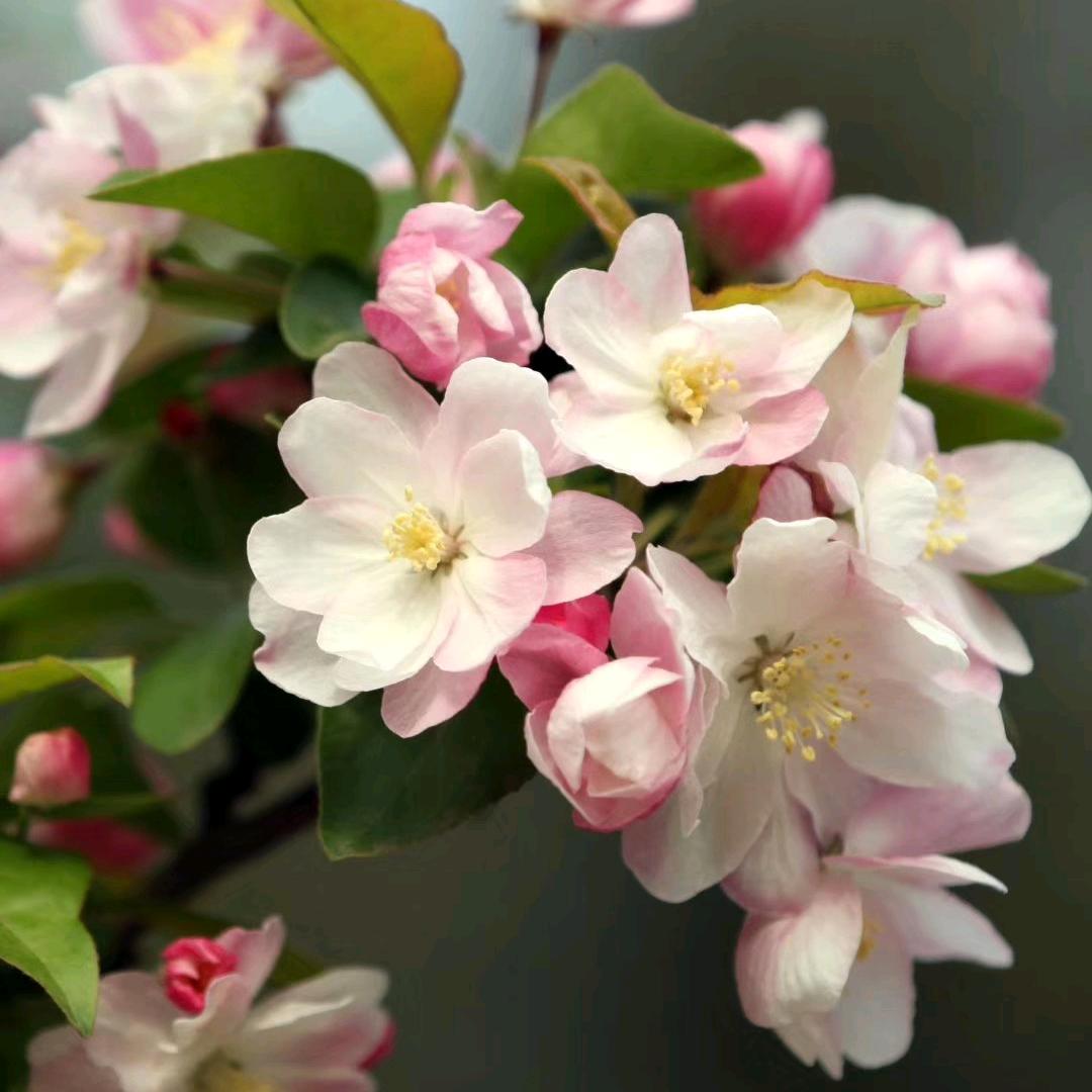 💝未来🌺可期💞