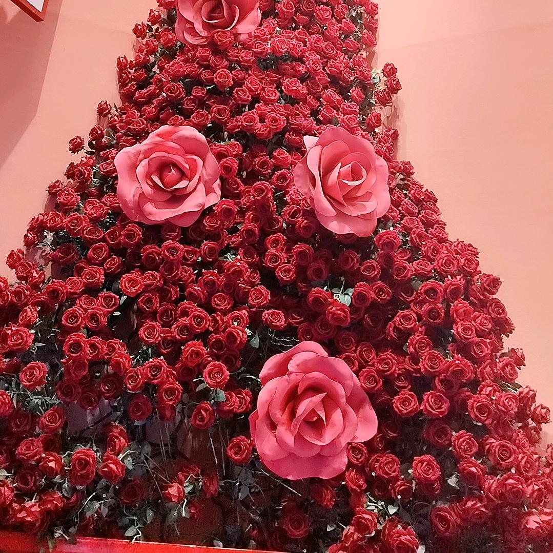 越来越好