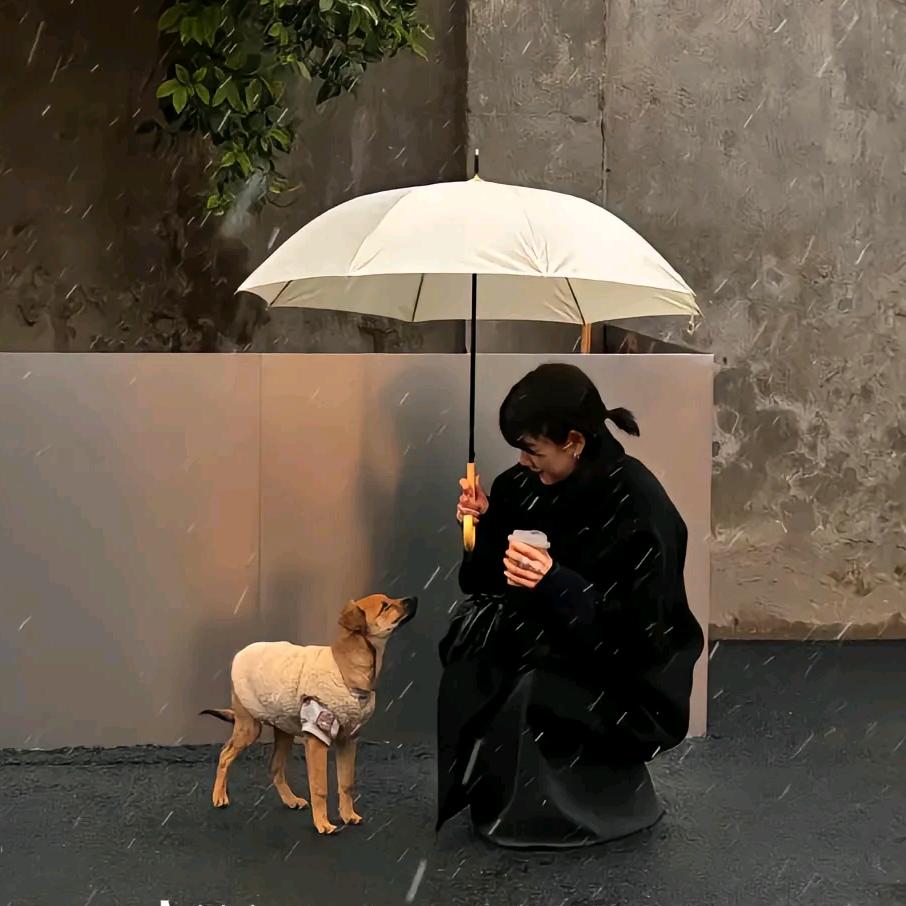 小王同学ʷ