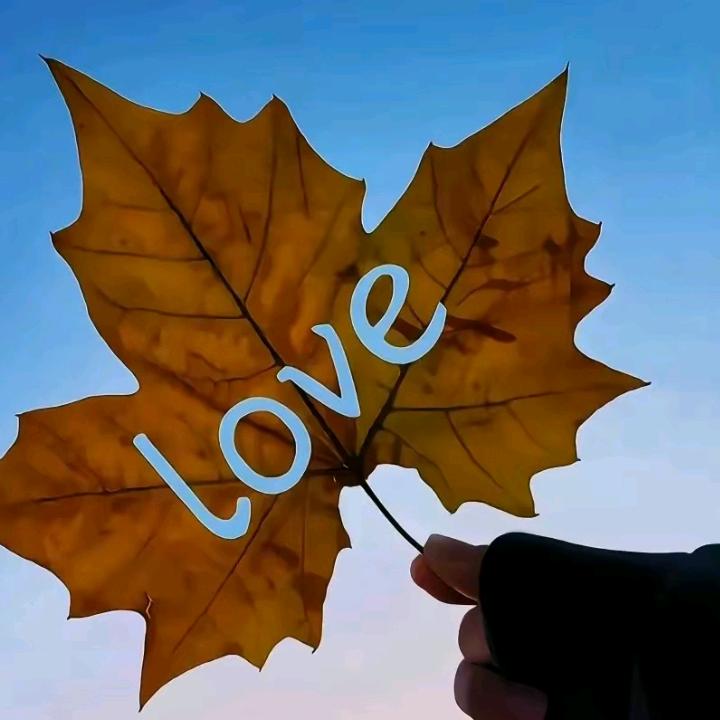 我❤依旧