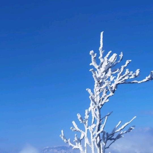 @雄鹰翱翔。
