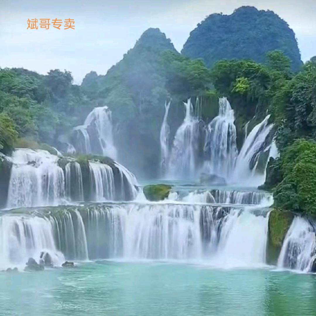 飞翔壹扬