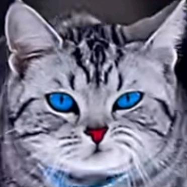 )