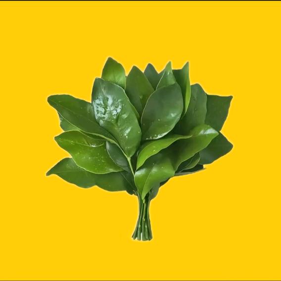 甜总