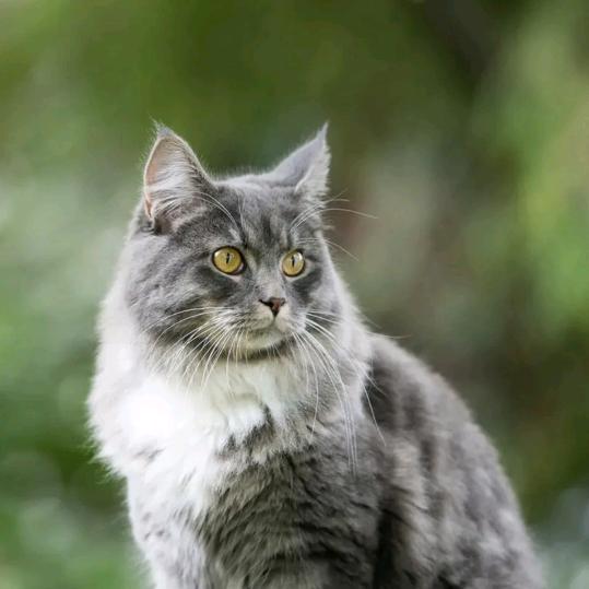 家政何老师在北京等你！