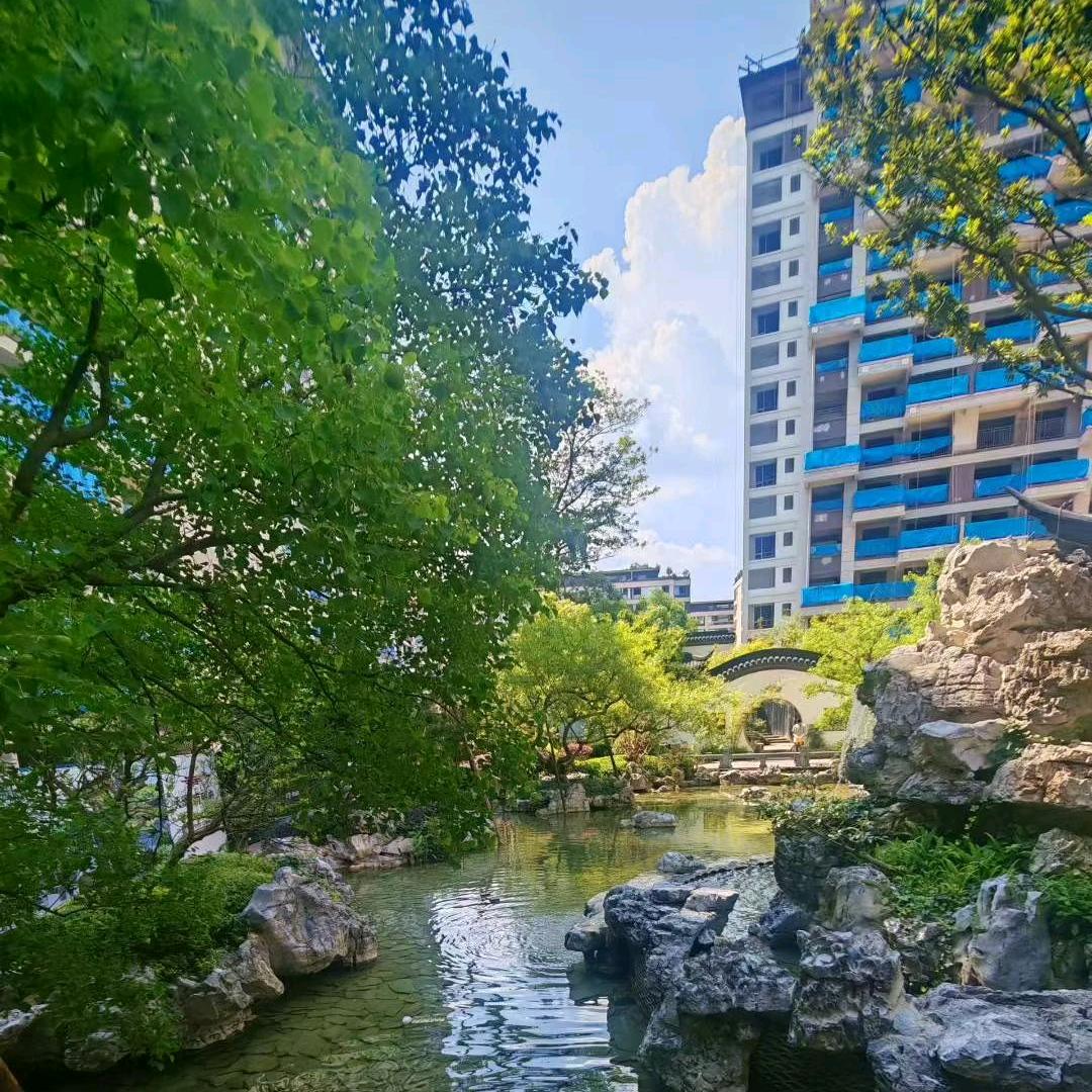 天瀑学府.天瀑南明府 老猪