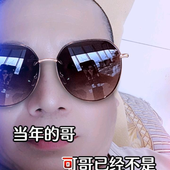 柳叶轻松要掉叶，朋友再好要分辨