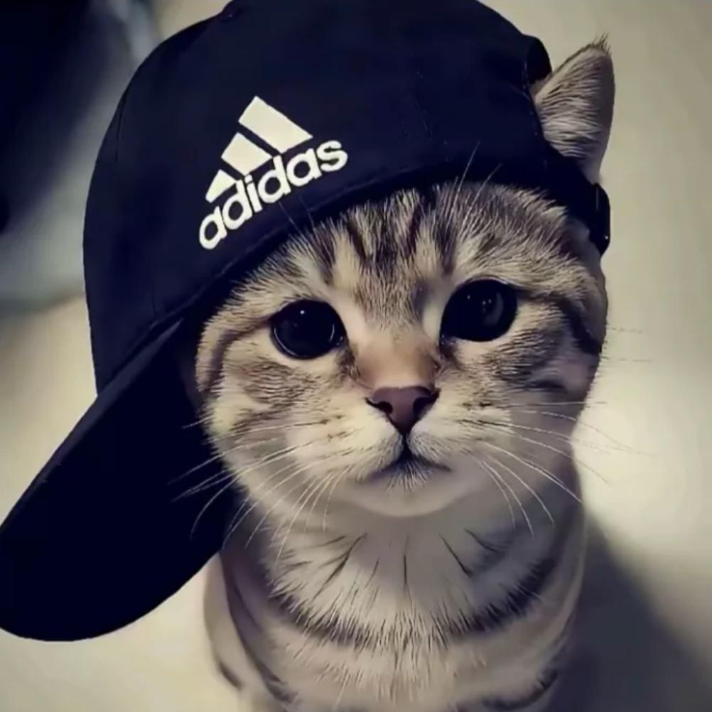，头像