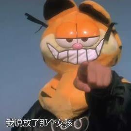 蒙面加菲猫
