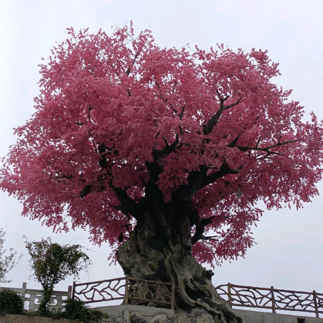 魏你而已
