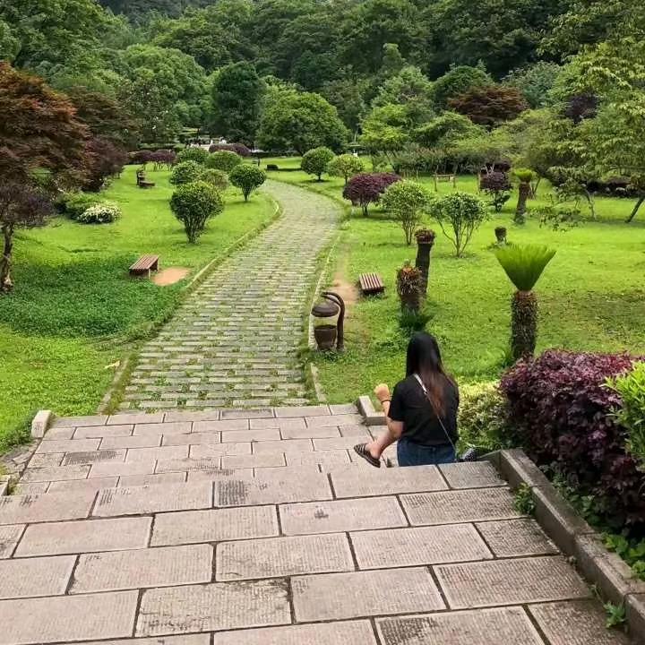 花开富贵.