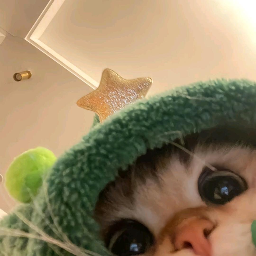 小鱼糖.ᐟ.ᐟ