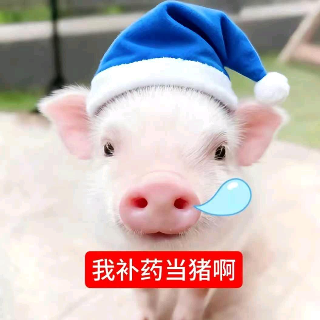 张鸿儒