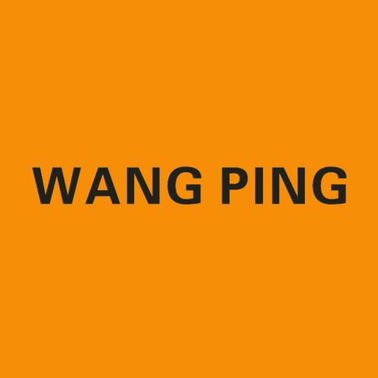 WANG PING 美学穿搭官方号
